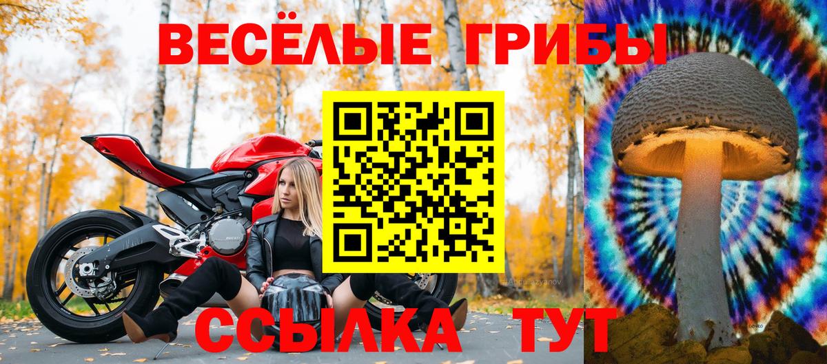 Галлюциногенные грибы прущие грибы Белореченск