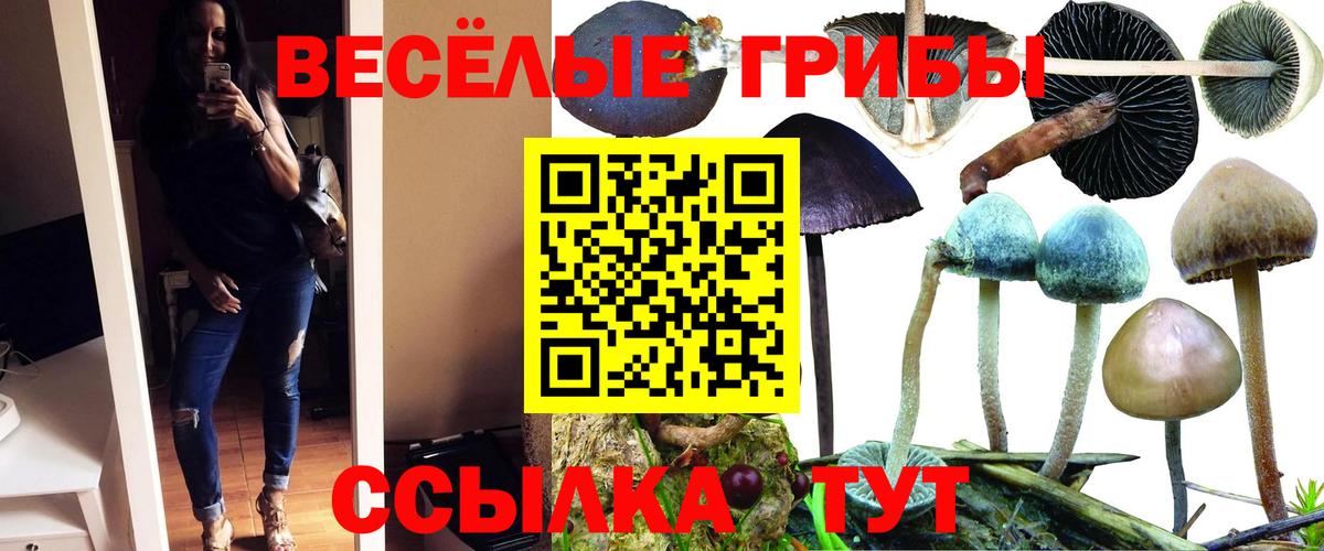 Белореченск  Галлюциногенные грибы GOLDEN TEACHER  где купить наркотик  Вход с VPN 