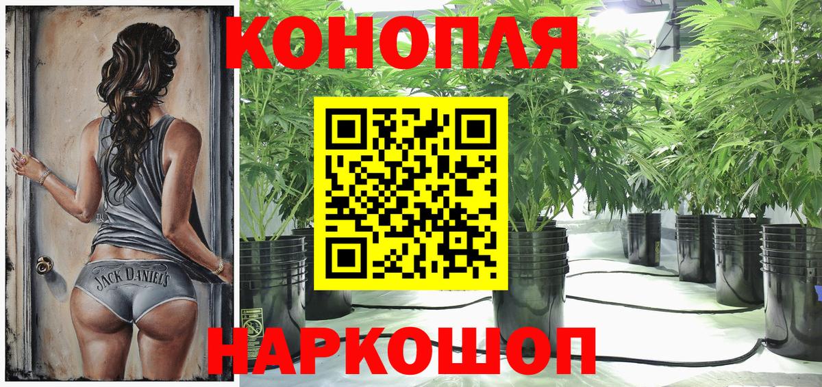 Бошки Шишки семена Белореченск